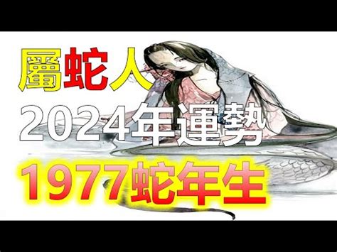 66年次屬蛇|民國66年是西元幾年？民國66年是什麼生肖？民國66年幾歲？